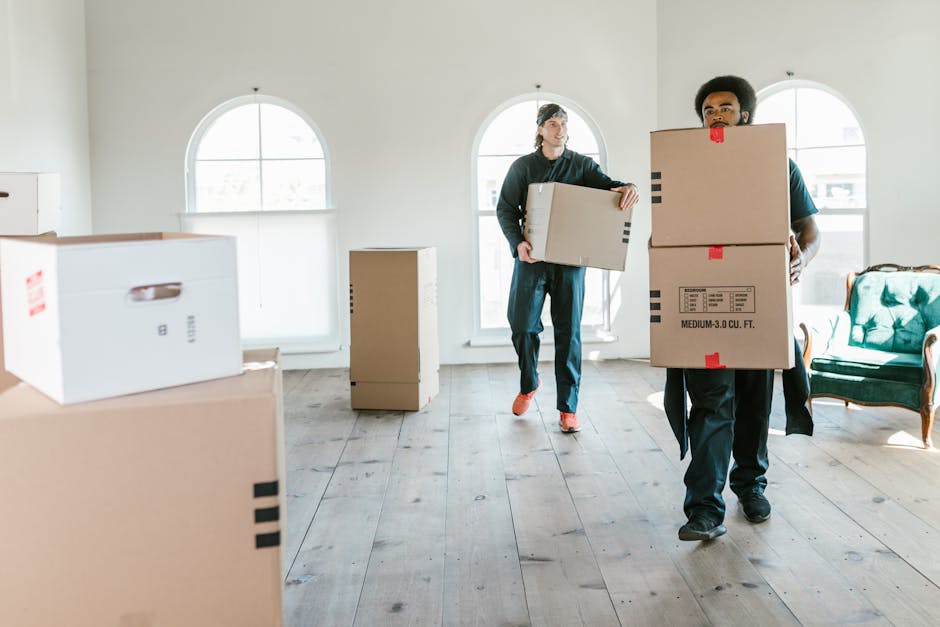 Two removal team members are inside a well-lit room with white walls and large arched windows, engaged in a home relocation process. One person with dark curly hair and a focused expression is carryin