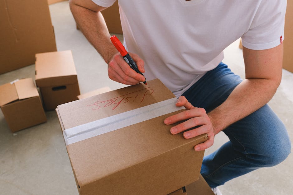 Two removal team members are inside a well-lit room with white walls and large arched windows, engaged in a home relocation process. One person with dark curly hair and a focused expression is carryin
