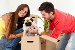Storage and Removals Service London